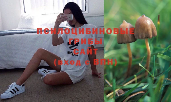 марки nbome Вяземский