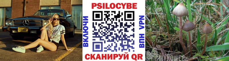 Галлюциногенные грибы мицелий Златоуст